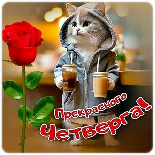 chetverg.jpg?z=127