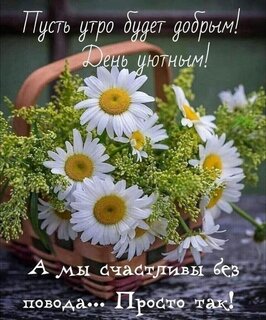 pust-utro-budet-dobrom-den-uyutnym-my-schastlivy-bez-povoda-prosto-tak.jpg?z=164