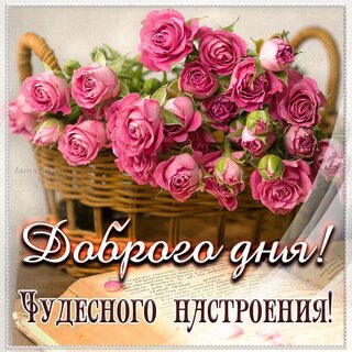 Хорошего вам дня!