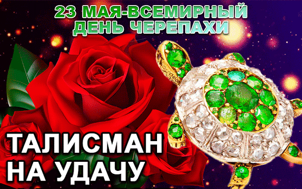 23 мая дата. 23 мая день черепахи праздник всемирный. всемирный день черепахи. всемирный день черепахи открытка. всемирный день черепахи поздравления.