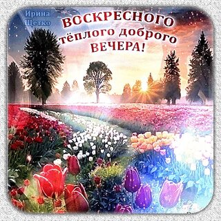 Картинки Добрый Вечер