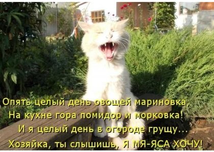 xozyajka-myasa-xochu.jpg?z=280