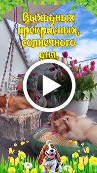 Открытки хороших выходных и отличного