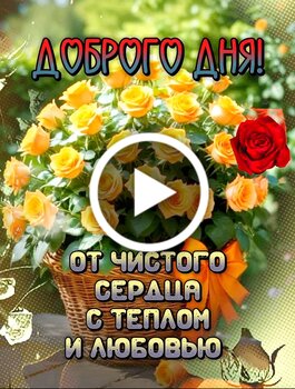 Пожелания Хорошего Дня Женщине Видео Открытка Хорошего Дня Женщине