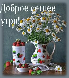 dobroe-letnee-utro.jpg?z=155