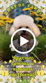 Открытки на все случаи жизни