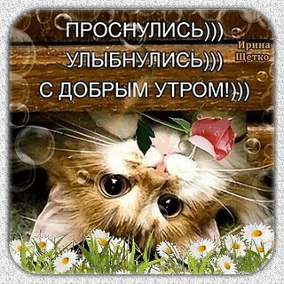 dobroe-utro.jpg?z=144