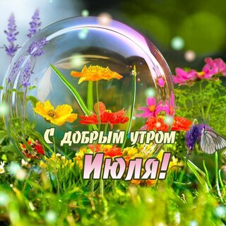 s-dobrym-utrom-iyulya.jpg?z=182