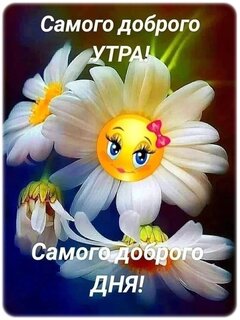 dobroe-utro.jpg?z=164