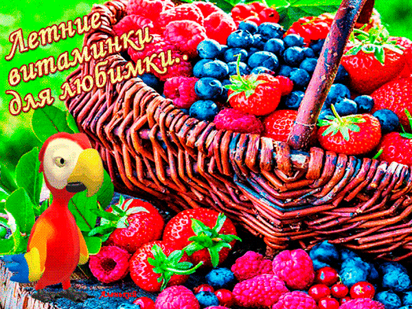 Анимированная открытка Летние витаминки для любимки!