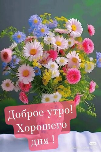 Открытка Доброе утро