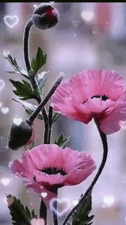 prosto-xochu-skazat-privet-i-pozhelat-dobrogo-mirnogo-utra.jpg?z=68