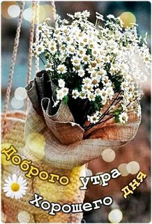 dobroe-utro.jpg?z=204