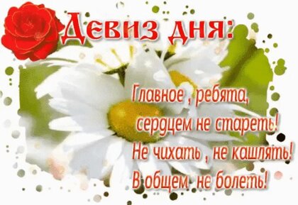 deviz-dnya-glavnoe-rebyata-serdcem-ne-staret-ne-chixat-ne-kashlyat-v-obshhem-ne-bolet.jpg?z=63