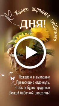 Светлана Кузьма | Познакомьтесь с сообществом Открытки в Viber | Instagram