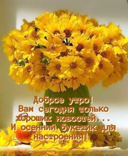 vam-segodnya-tolko-xoroshix-novostej-i-osennij-buketik-dlya-nastroeniya.jpg?z=252