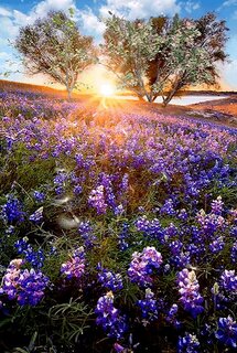 net-teksta.jpg?z=112