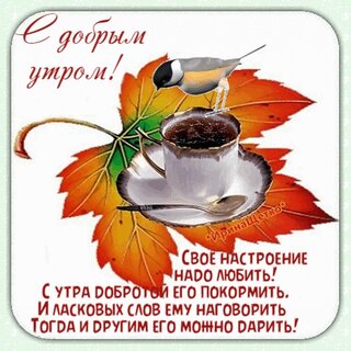 dobroe-utro.jpg?z=252