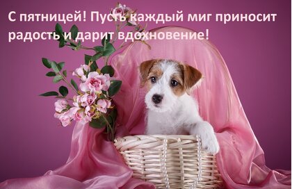 s-pyatnicej-pust-kazhdyj-mig-prinosit-radost-i-darit-vdoxnovenie.jpg?z=247