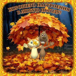xoroshego-nastroeniya-v-lyubuyu-pogodu.jpg?z=301
