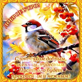 dobroe-utro.jpg?z=253