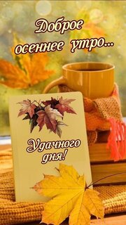 dobroe-osennee-utro.jpg?z=298