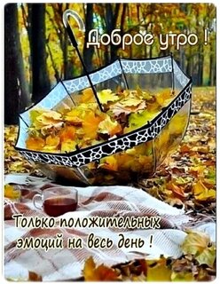 dobroe-utro.jpg?z=246