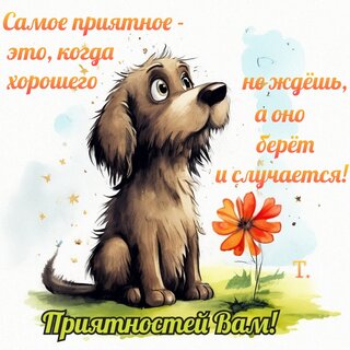 priyatnostej-vam-samoe-priyatnoe-kogda-xoroshego-ne-zhdesh-a-ono-sluchaetsya.jpg?z=115