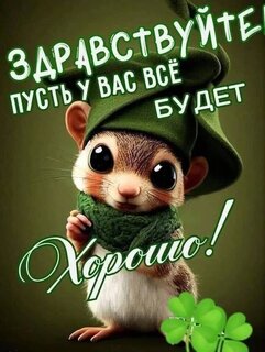 zdravstvujte.jpg?z=142
