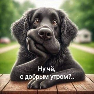 nu-ch-s-dobrym-utrom.jpg?z=340