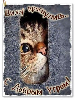 dobroe-utro.jpg?z=12