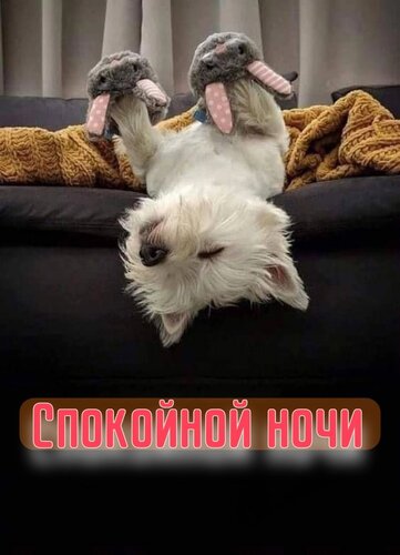 Открытка Спокойной ночи