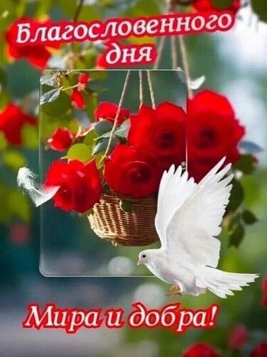 Открытка Благословенного дня