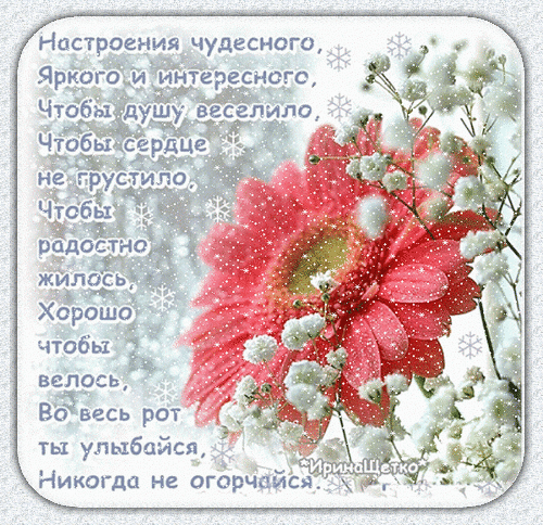 Анимированная открытка Чудесного настроения!