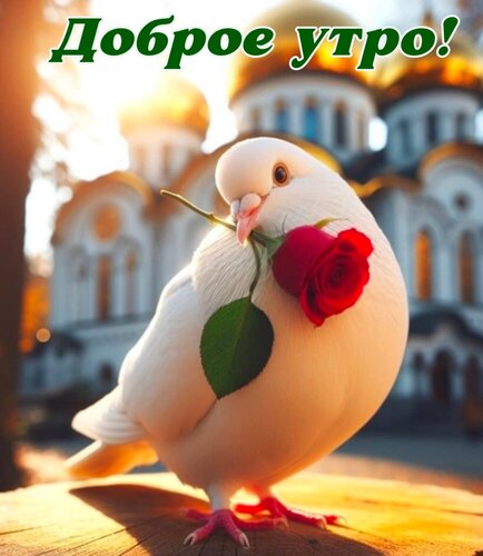 Открытка Доброе утро!