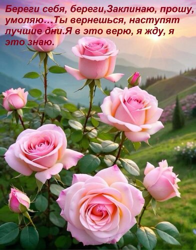 Открытка Береги себя, береги, Заклинаю, прошу, умоляю… Ты вернешься, наступят лучшие дни Я в это верю, я жду,
