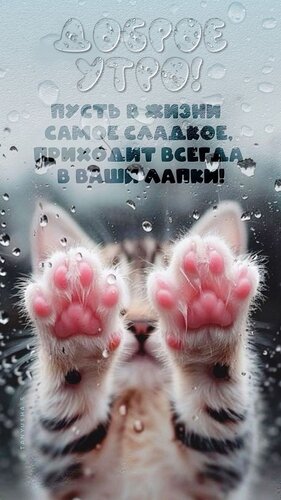 Открытка Доброе утро