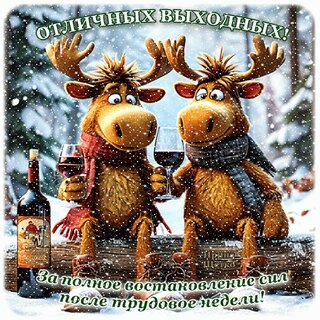 otlichnyx-vyxodnyx.jpg?z=339