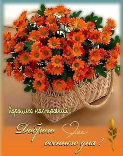 dobrogo-osennego-dnya.jpg?z=293