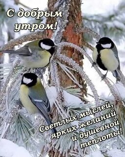 s-dobrym-utrom.jpg?z=350