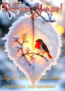 dobroe-utro.jpg?z=10