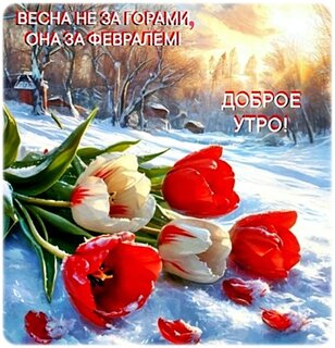 dobroe-utro.jpg?z=45