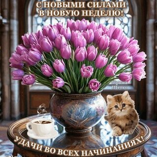 udachnoj-nedeli.jpg?z=123