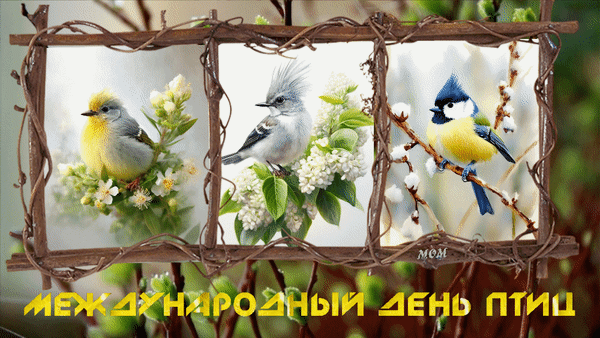 Анимированная открытка Международный день птиц