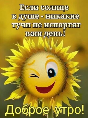 Открытка Доброе утро