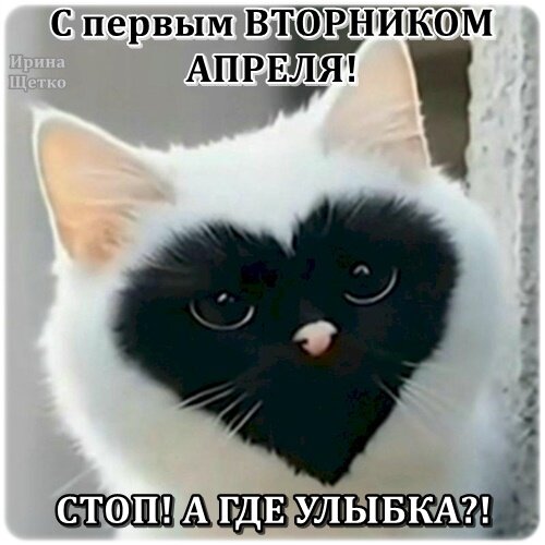Открытка С первым вторником апреля!