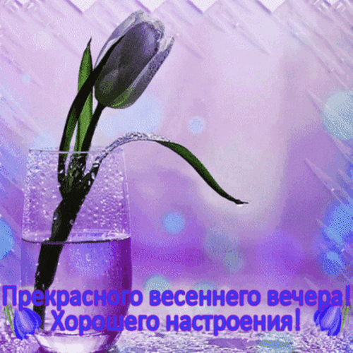 Анимированная открытка Прекрасного весеннего вечера!