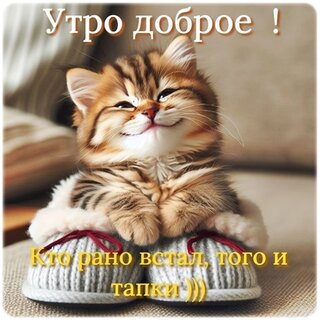 dobroe-utro.jpg?z=253