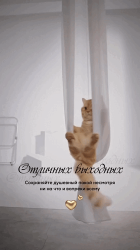 Анимированная открытка Отличных выходных. Сохраняйте душевный покой несмотря ни на что и вопреки всему.