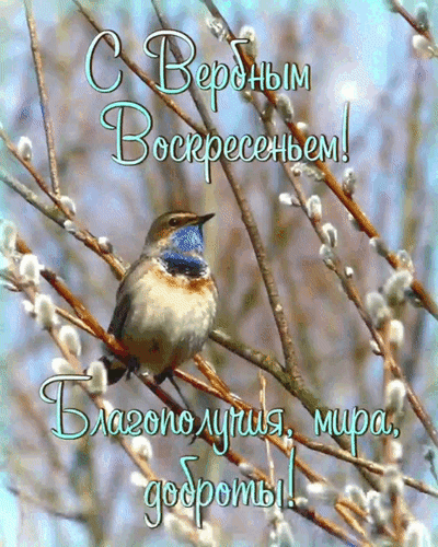 Анимированная открытка С Вербным Воскресеньем! Благополучия, мира, доброты!
